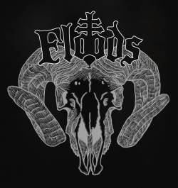 Floods (USA) : Demo 2012